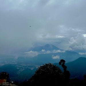 Meet your Posher, Lana